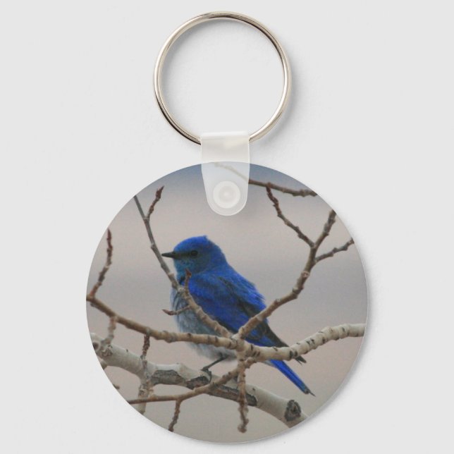 Porte-clés Oiseau bleu de montagne (Recto)