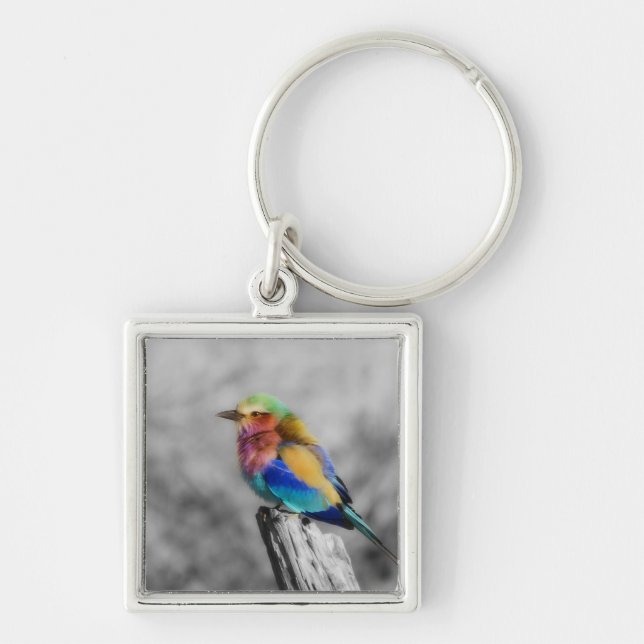 Porte-clés Oiseau d'arc-en-ciel (Devant)