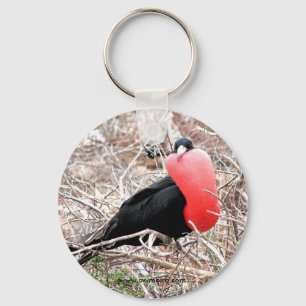 Porte-clés Oiseau de frégate (Fragata) dans l'affichage de