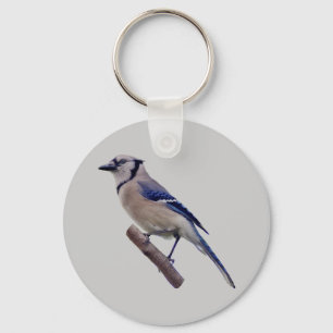 Porte-clés Oiseau de geai bleu