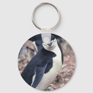 Porte-clés Oiseau de pingouin mignon animal noir eau blanche