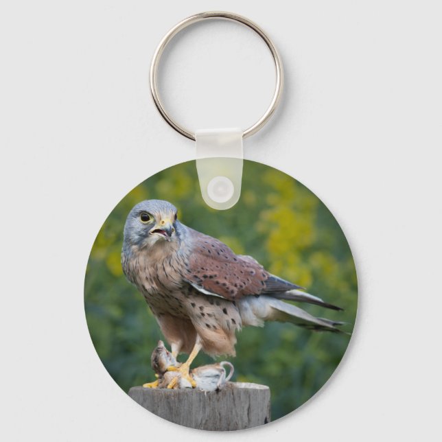 Porte-clés Oiseau de proie Porte - clé/Clavier (Recto)