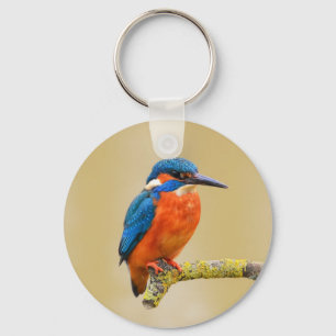 Porte-clés Oiseau orange bleu de martin-pêcheur
