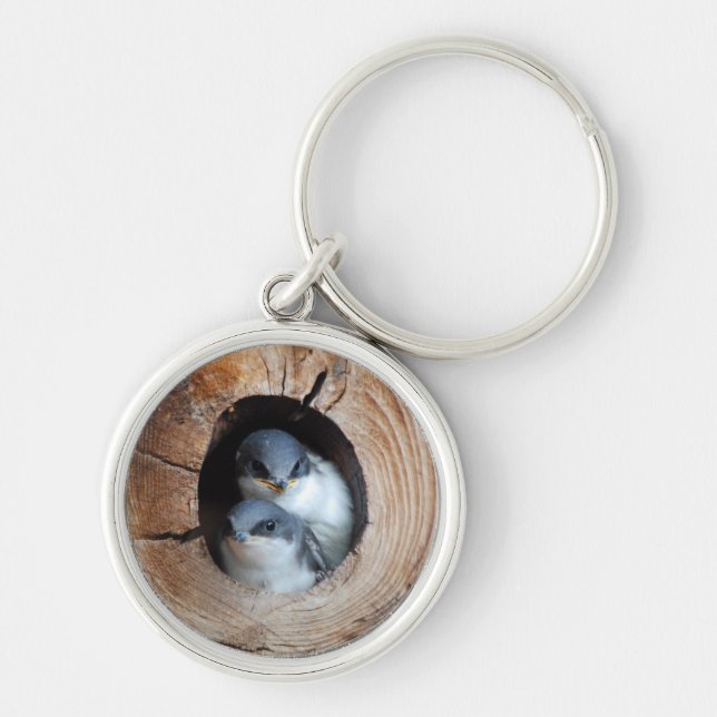 Porte-clés Oiseaux de bébé (Devant)