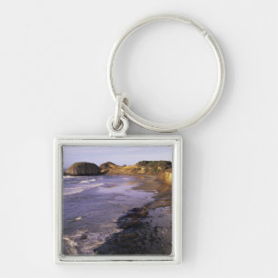 Porte-clés OR, côte de l'Oregon, Newport, rivage à Seal