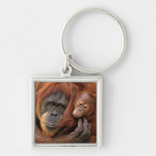 Porte-clés Orang-outan de mère et de bébé
