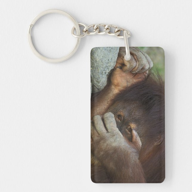 Porte-clés Orang-outan de Sumatra, Pongo pygmaeus (Devant)