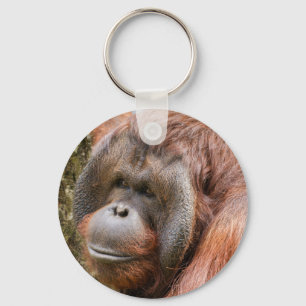 Porte-clés Orangoutan mâle