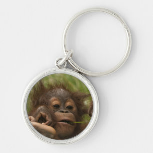 Porte-clés Orangutan Baby