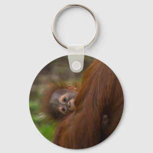Porte-clés Orangutan Baby Avoir Un Jeu