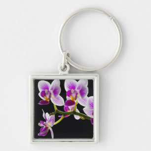 Porte-clés Orchidée blanche et violette