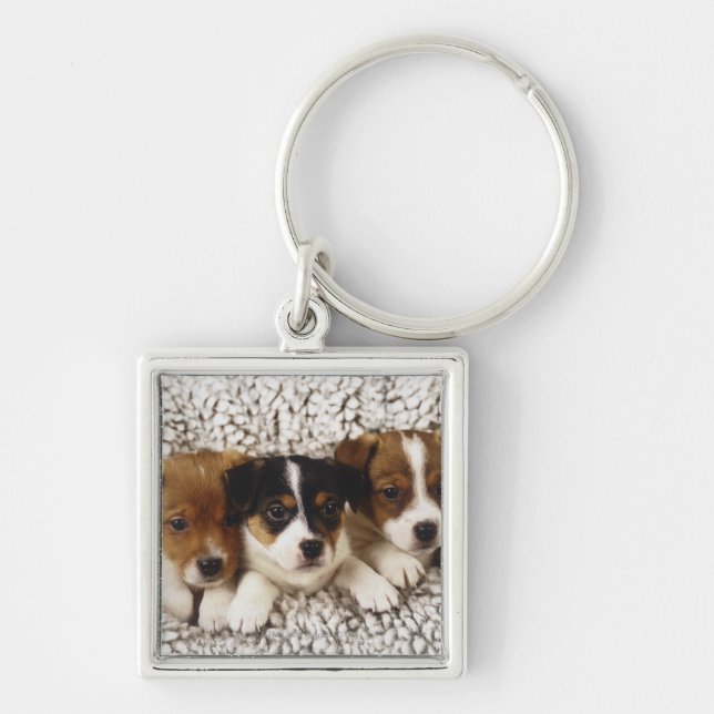 Porte-clés Ordures des chiots (Devant)