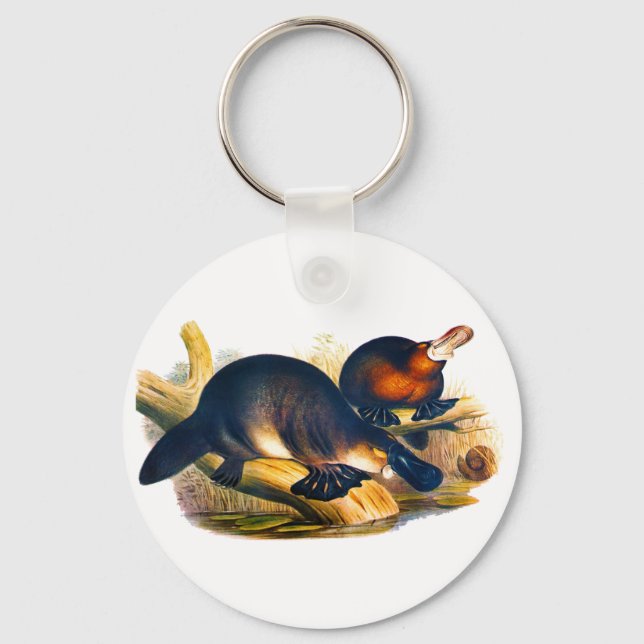 Porte-clés Ornithorynque (Recto)