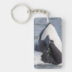 Porte-clés Orque faisant une brèche