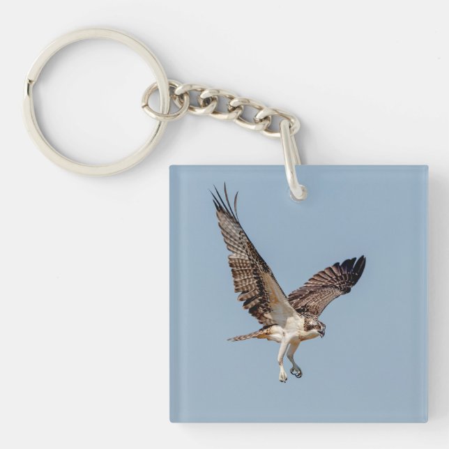 Porte-clés Osprey juvénile en vol (Devant)