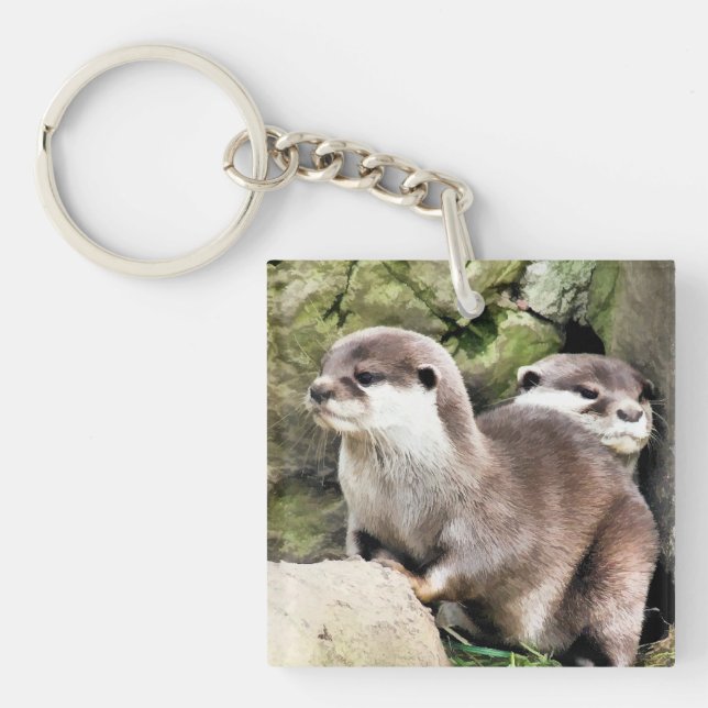 PORTE-CLÉS OTTERS (Devant)