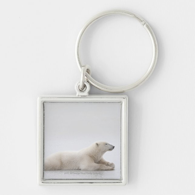 Porte-clés Ours blanc s'étendant sur un lac de glace (Devant)
