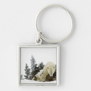 Porte-clés Ours blancs au parc national de Wapusk