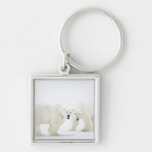Porte-clés Ours blancs se tenant sur la neige après le jeu d