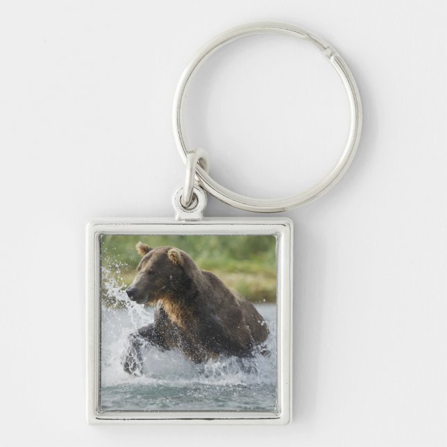 Porte-clés Ours Brown chassant le saumon en rivière (Devant)