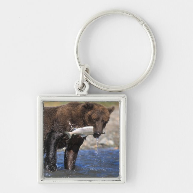 Porte-clés Ours brun, grizzly, avec prise de saumon, (Devant)