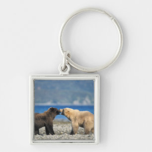 Porte-clés Ours brun, ours grizzly, jouer sur la plage,
