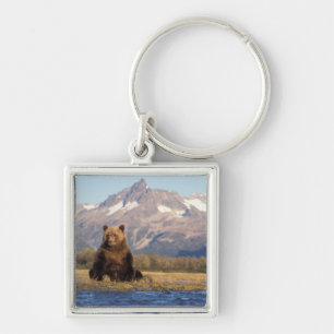 Porte-clés ours brun, Ursus arctos, grizzly, Ursus