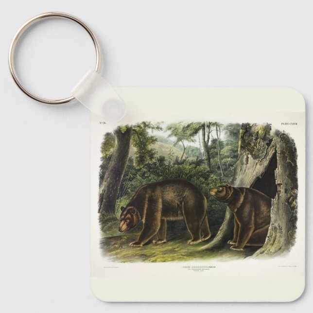 Porte-clés Ours de cannelle des Quadrupeds d'Audubon (Recto)