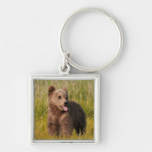 Porte-clés Ours drôle de bébé des images   de Getty