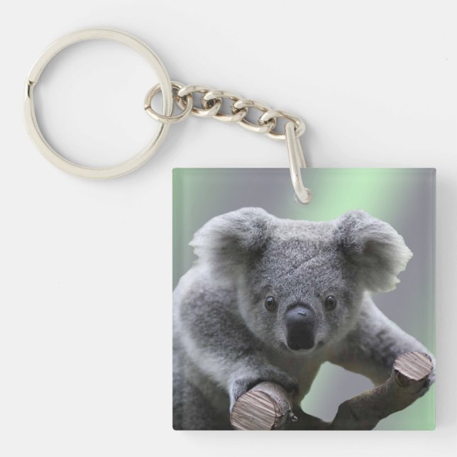 Porte-clés Ours koala (Devant)