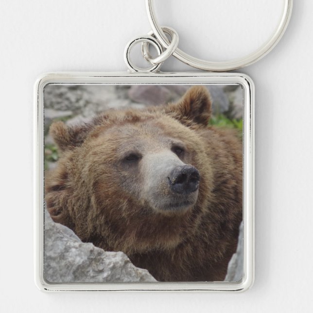 Porte-clés Ours kodiak (Devant)