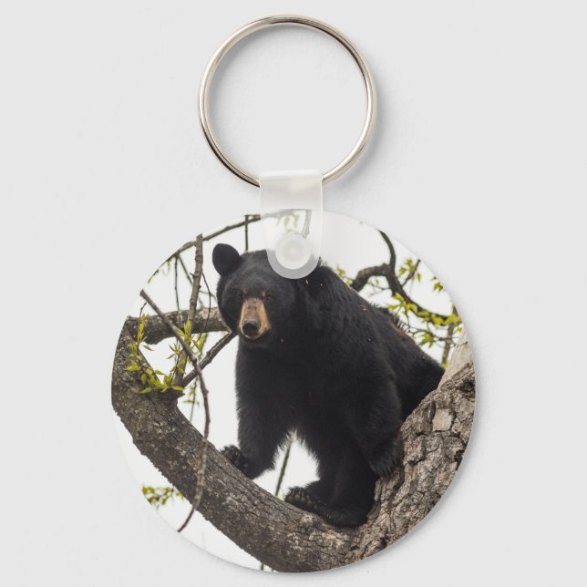 Porte-clés Ours noir Escalade (Recto)