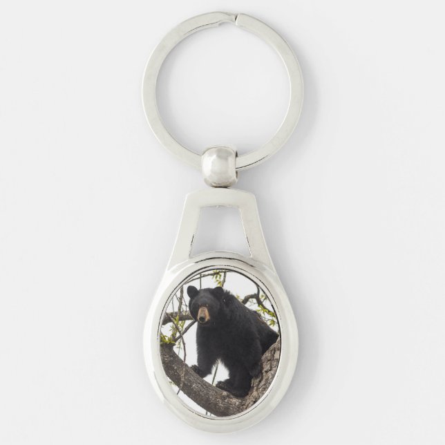 Porte-clés Ours noir Escalade (Devant)