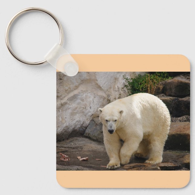 Porte-clés ours polaire (Recto)