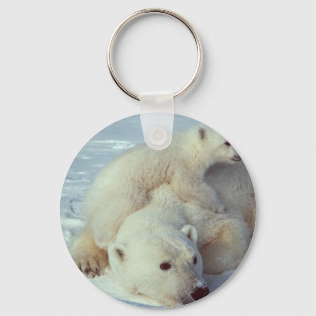 Porte-clés Ours polaire (Recto)