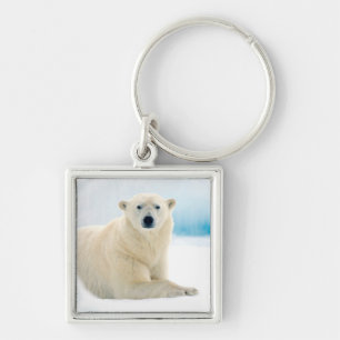 Porte-clés Ours polaire adulte grand verrat sur la glace d'ét