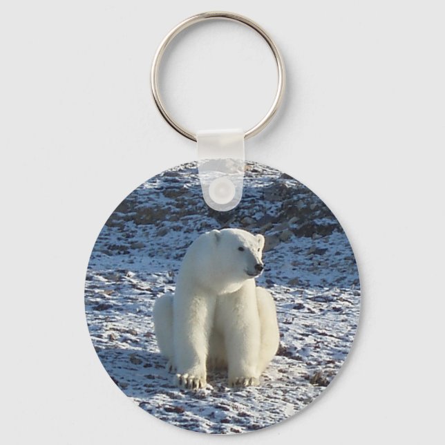 Porte-clés Ours polaire arctique (Recto)