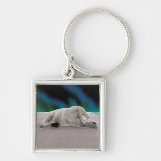 Porte-clés Ours polaire au repos (Devant)