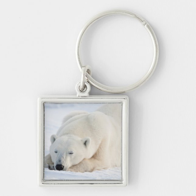 Porte-clés Ours polaire en hiver (Devant)