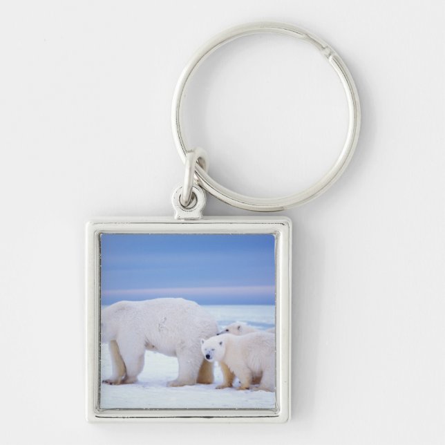 Porte-clés Ours polaire femelle avec des oursons (Devant)