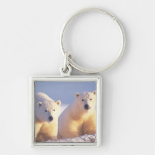 Porte-clés Ours polaire femelle avec ourson sur la banquise