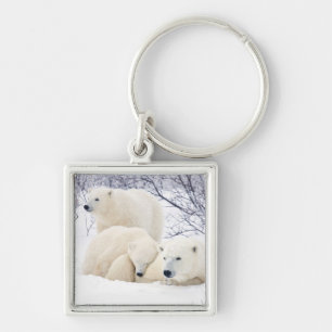Porte-clés Ours polaires femelle et deux oursons