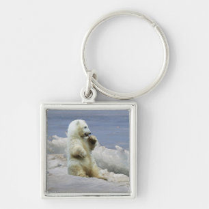 Porte-clés ourson polaire mignon et glace arctique
