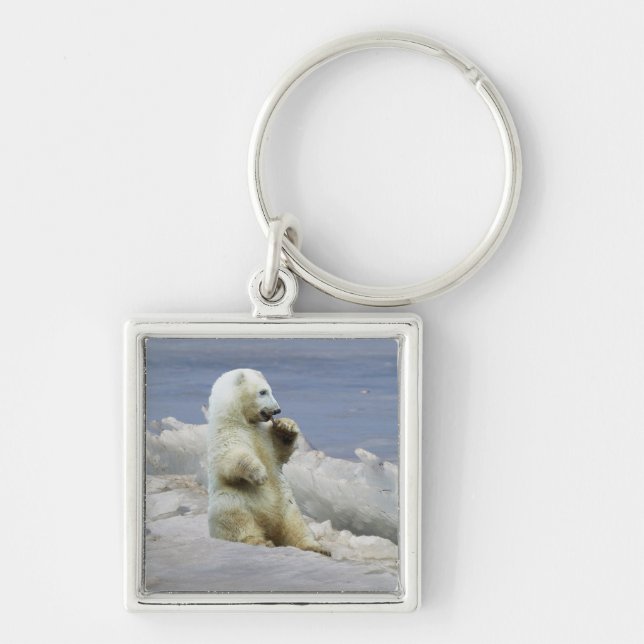 Porte-clés ourson polaire mignon et glace arctique (Devant)