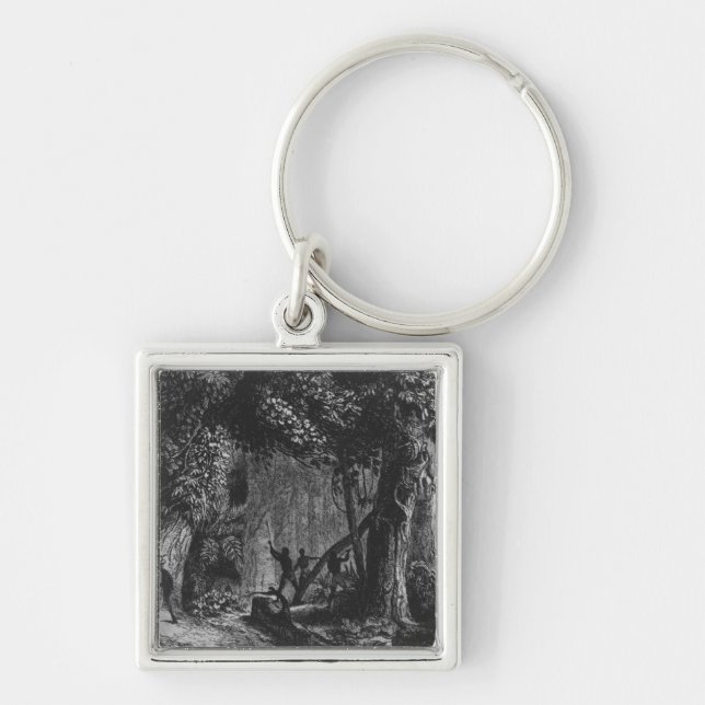 Porte-clés Ouverture de forêt de 'Bresil, Columbie à (Devant)