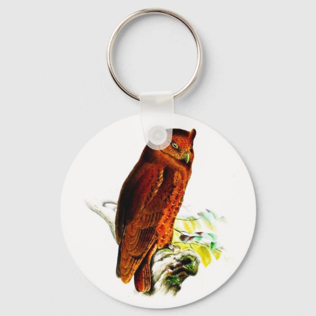 Porte-clés Owl Key Chain (Recto)