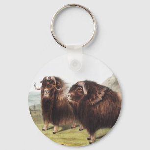 Porte-clés Ox musqué (Ovibos moschatus)