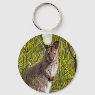 Porte-clés Pademelon de Tasmanie