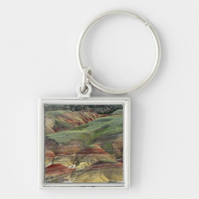 Porte-clés Painted Hills, lits fossilifères de John Day, Mitc (Devant)