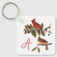 Paire cardinale Audubon en amandiers sauvages